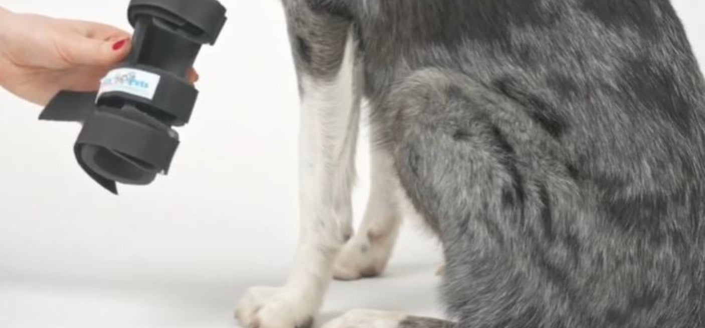 Walkin Pets Dog Leg Splints UK
