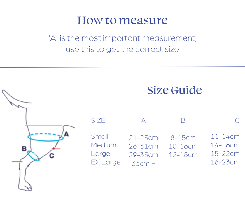 Balto® Ligatek - Adjustable Hinged Dog Knee Brace