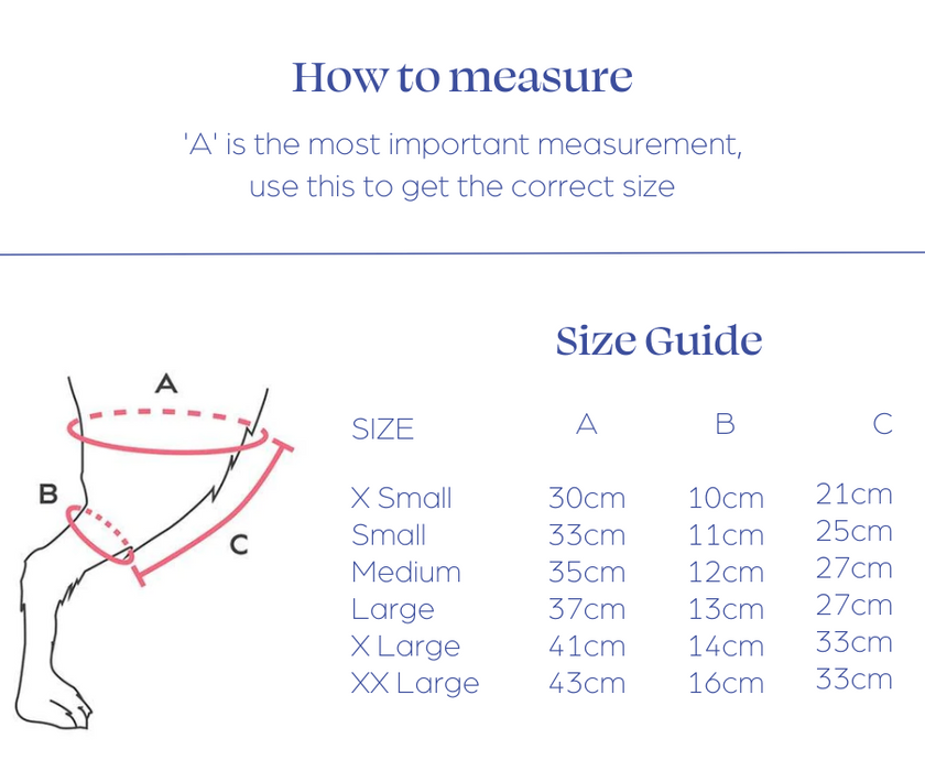 Kruuse Dog Knee Protector (light)