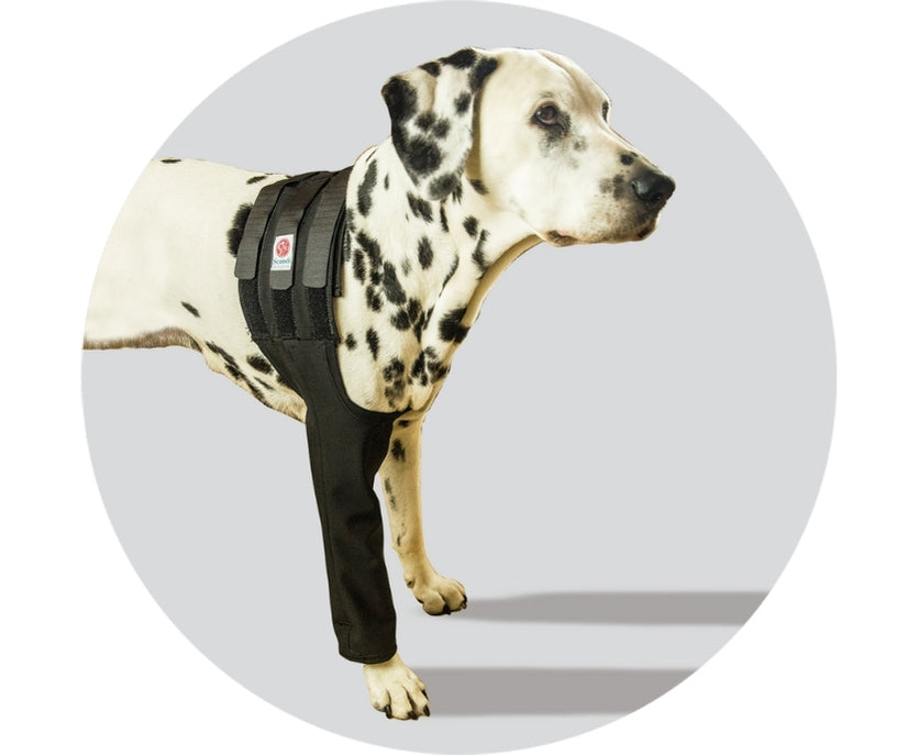 Dog Protection Medical Cover Premium - Front Leg (made by Scandi Orthopedic)