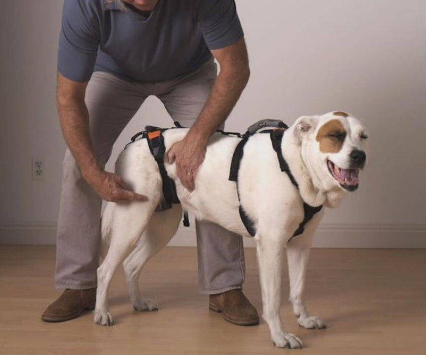 Help Em Up Harness - The Complete Dog Lifting Harness