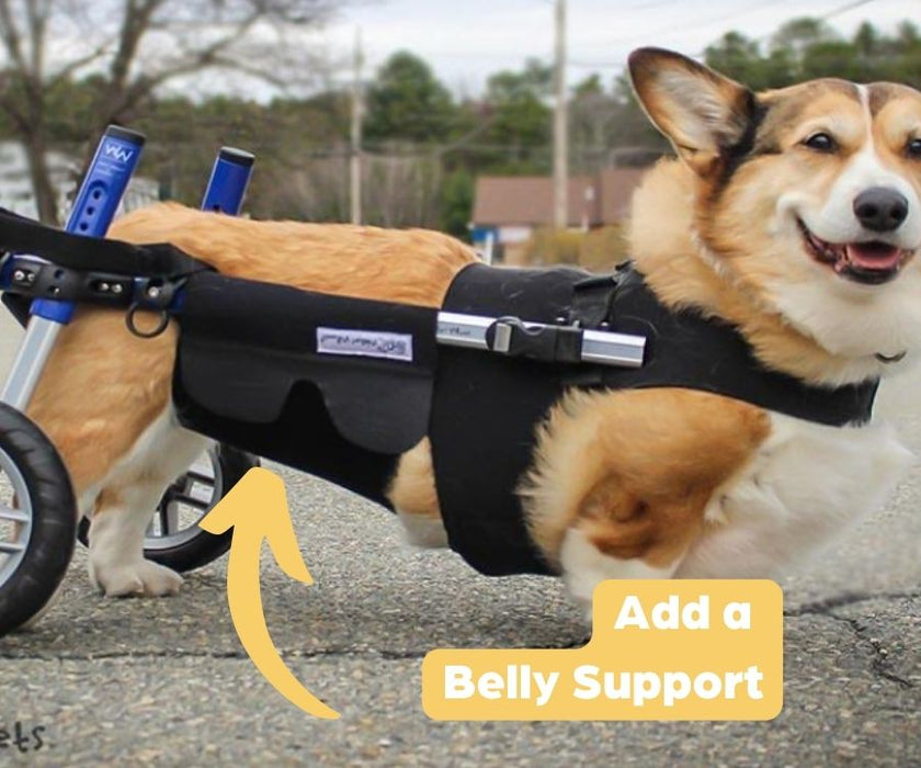 Corgi Dog Wheelchair UK