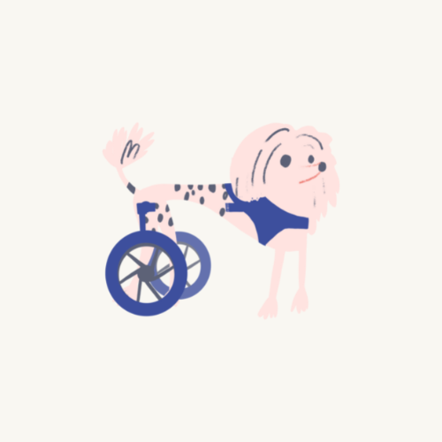 All Wheelchairs + Spare Parts