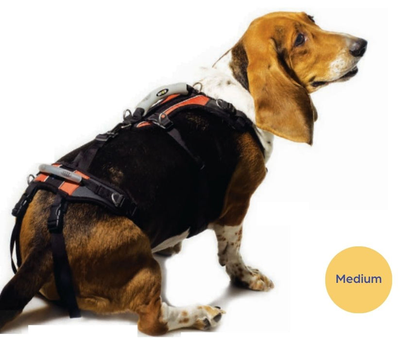 Help Em Up Harness - The Complete Dog Lifting Harness