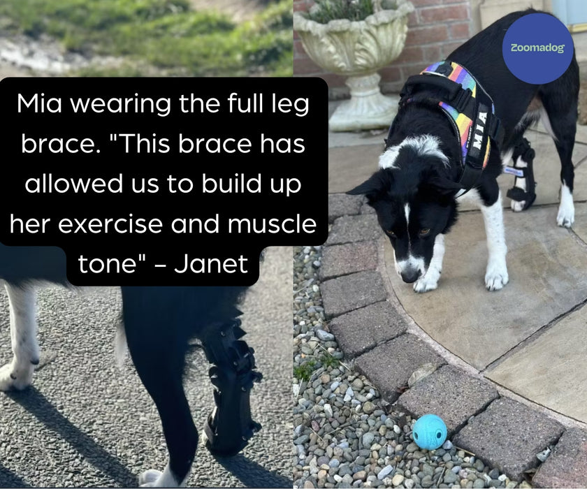 40% Off - Walkin' Full Adjustable Dog Splint - Front or Back Leg (firm)
