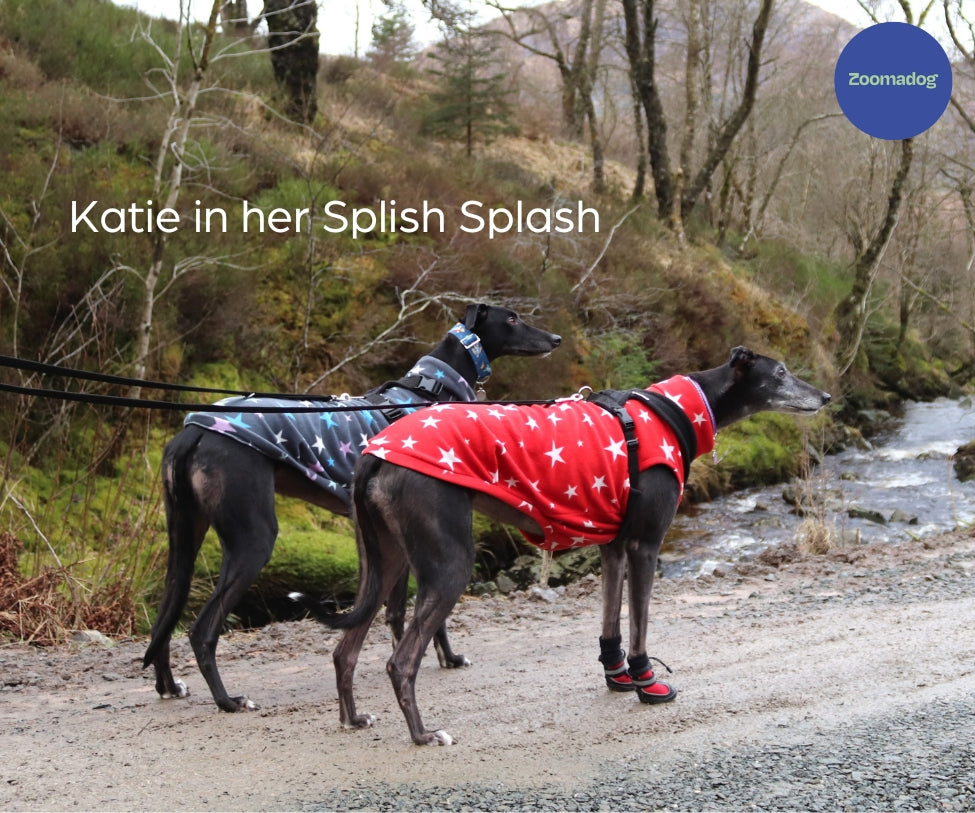 Katie, wearing Splish Splash