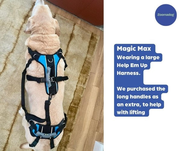 Help Em Up Harness - The Complete Dog Lifting Harness