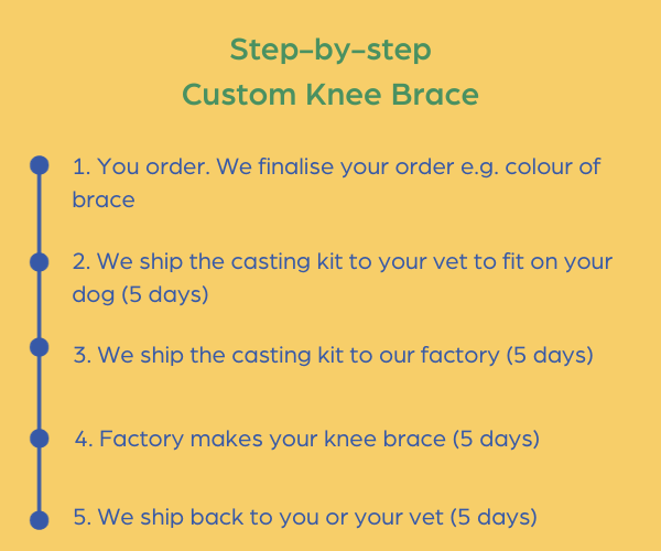 Custom Knee Brace for Your Dog UK - For Cruciate Ligaments, Arthritis or Weak Knees