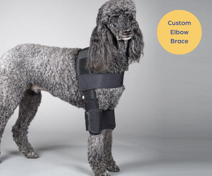 DogLeggs Elbow Brace (firm) - Custom Elbow Brace For Your Dog