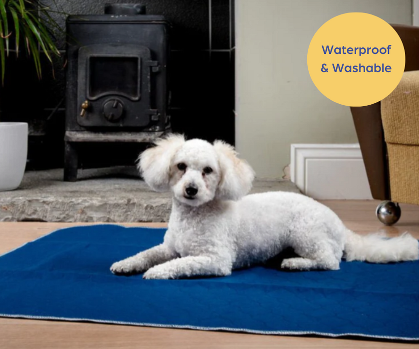 Washable & Waterproof Dog Incontinence Mat - Help In The House (Dark Blue)