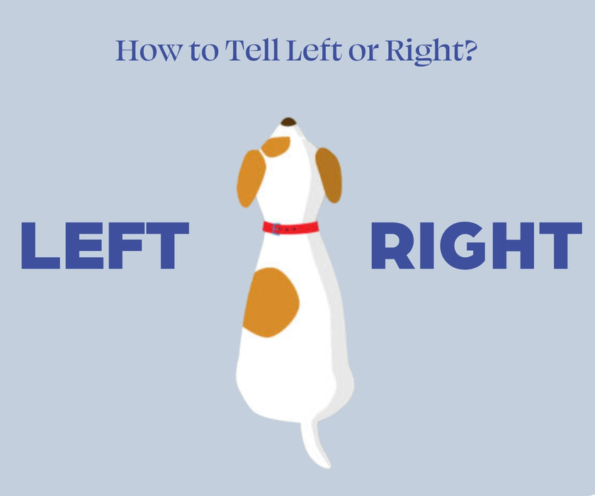 Balto® Ligatek - Adjustable Hinged Dog Knee Brace