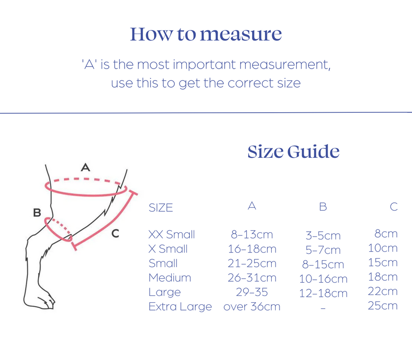 Balto® Jump Double - Support Both Knees with a Cruciate Ligament Dog Knee Brace