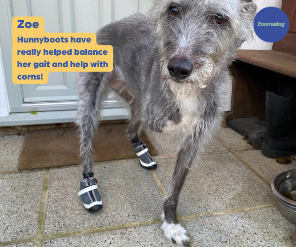 Hunnyboots - Set of Two Greyhound Boots V4 (a pair)