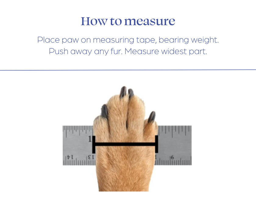 Maximus PawsUp SuperFlex - For Rear Paws - (A Pair) in Blue for Paw Knuckling