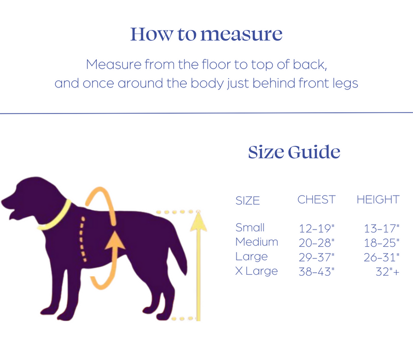 Orthodog Dog Hip Brace