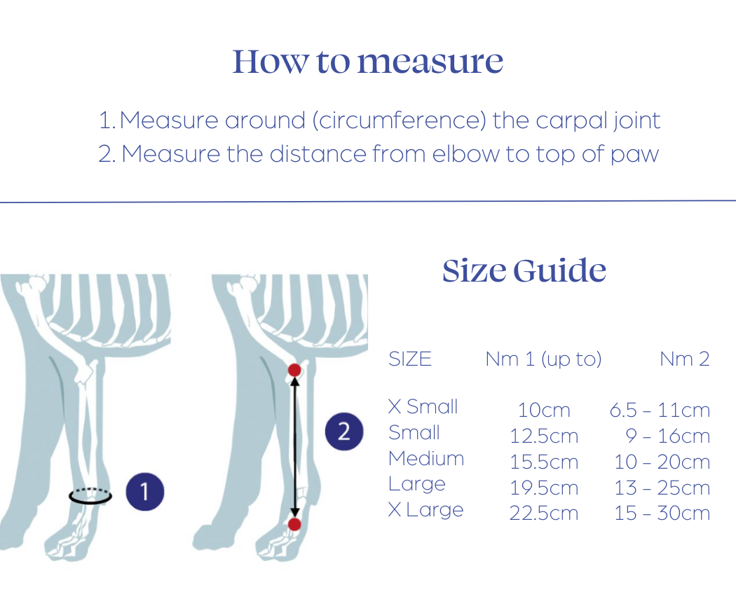 Measure Carpal Grade 2