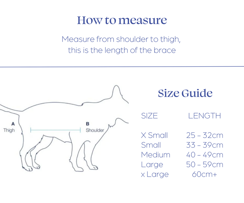 Balto® Body Lift - Dog Body Harness with Handles