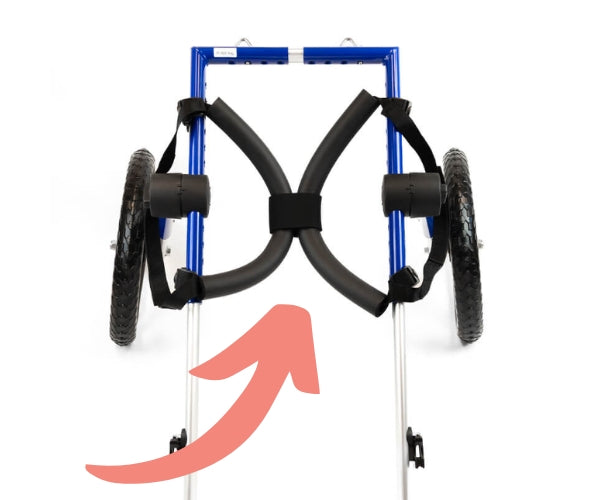 Leg Rings (Replacement)