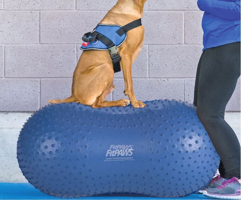 FitPAWS in UK - Dog Rehabilitation Equipment - Improve Strength, Motion & Mobility