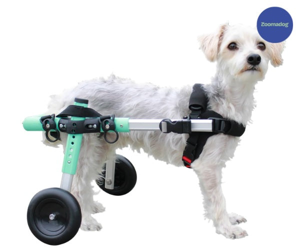 Dog Wheelchair UK - Walkin Wheels