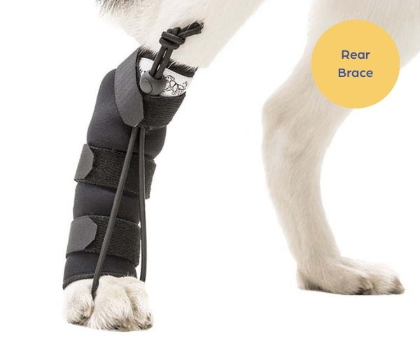 Walkin’ Anti-Knuckling Training Dog Sock (single sock)