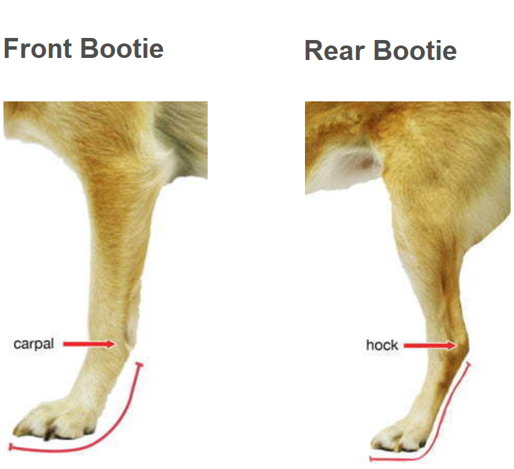 Walkin’ Bootie Splint Sizes