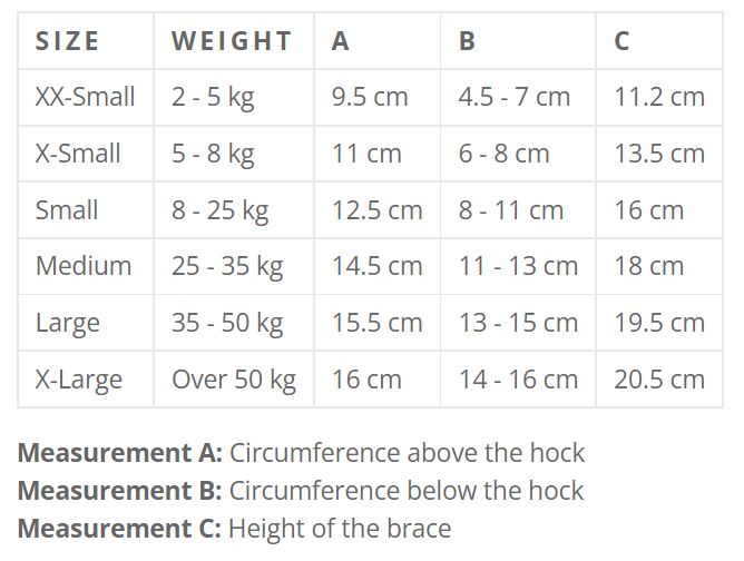 Balto® Hock Brace Sizes