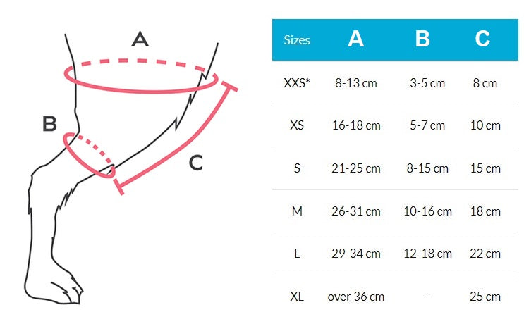 Double Balto® Jump Sizes
