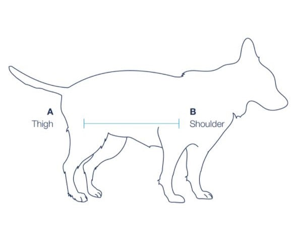 Balto® Body Lift Sizes