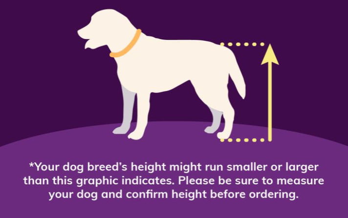 Orthodog Hip Brace Sizes