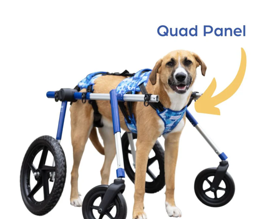 Add a Quad Panel