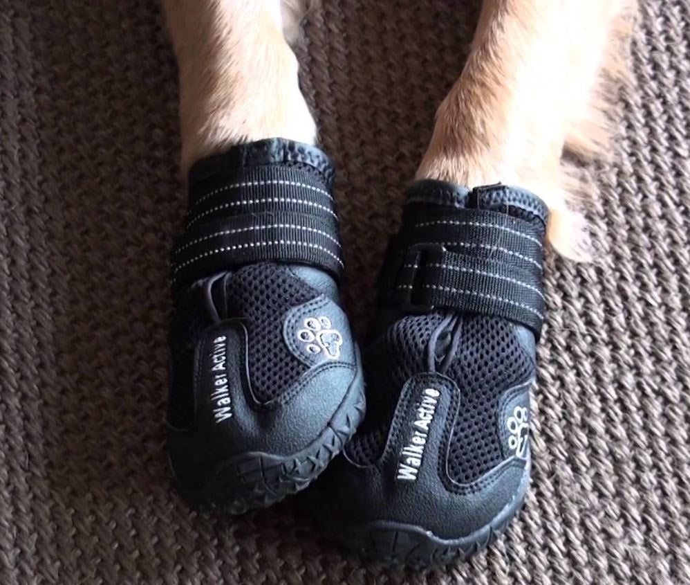 Walker Active Dog Boots Sizes