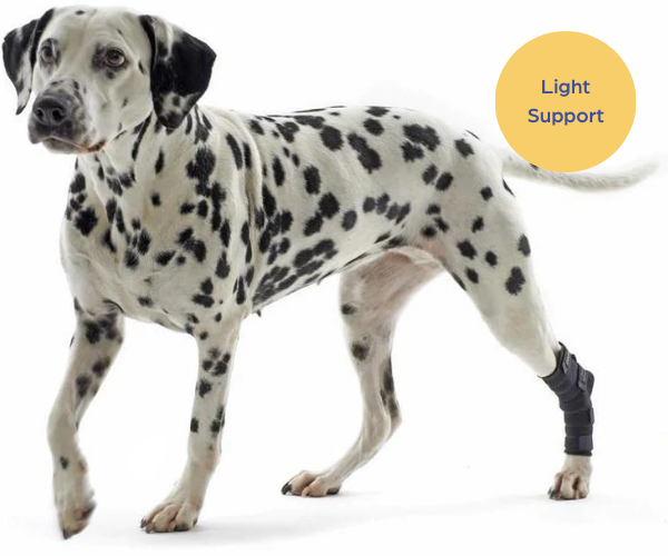 Kruuse Dog Hock Protector (light)