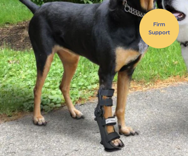 40% Off - Walkin' Full Adjustable Dog Splint - Front or Back Leg (firm)