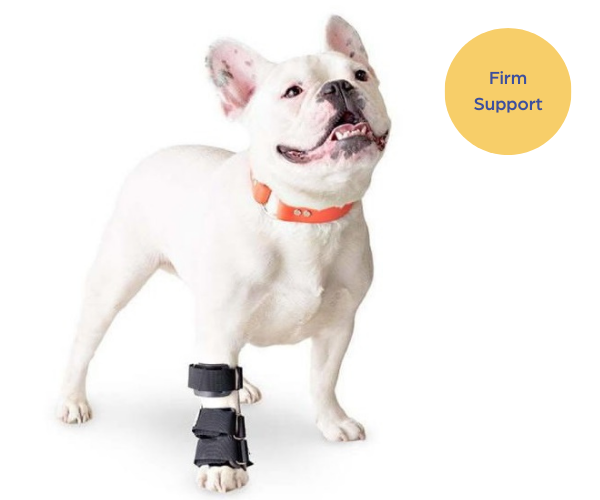 Walkin Dog Carpal Splint (firm)