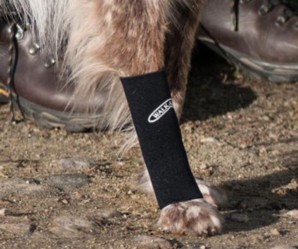 Walkabout Compression Sleeve for Front or Back Dog Legs (black)
