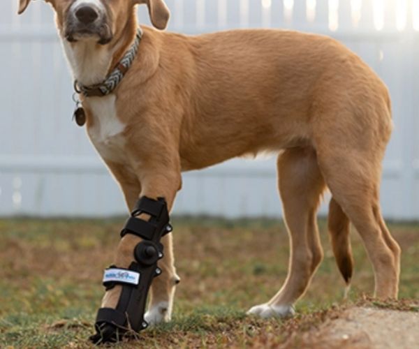 40% Off - Walkin' Full Adjustable Dog Splint - Front or Back Leg (firm)
