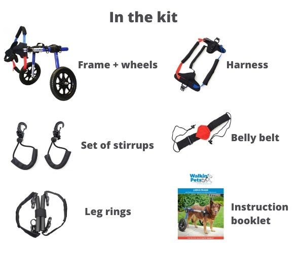 Dog Wheelchair UK - Walkin Wheels