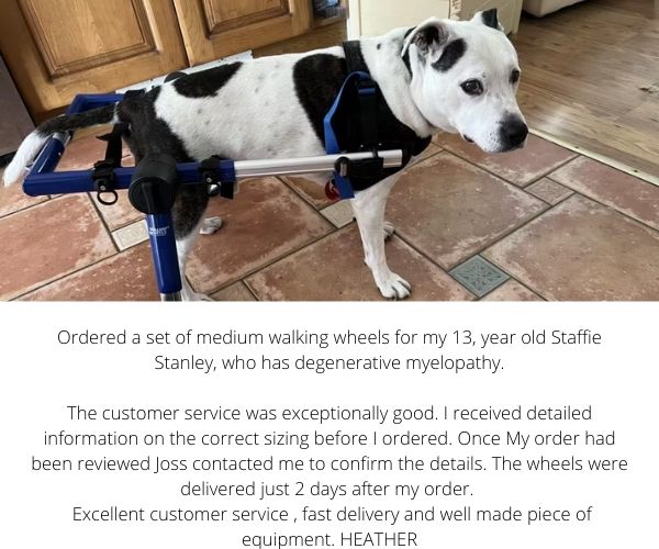 Dog Wheelchair UK - Walkin Wheels