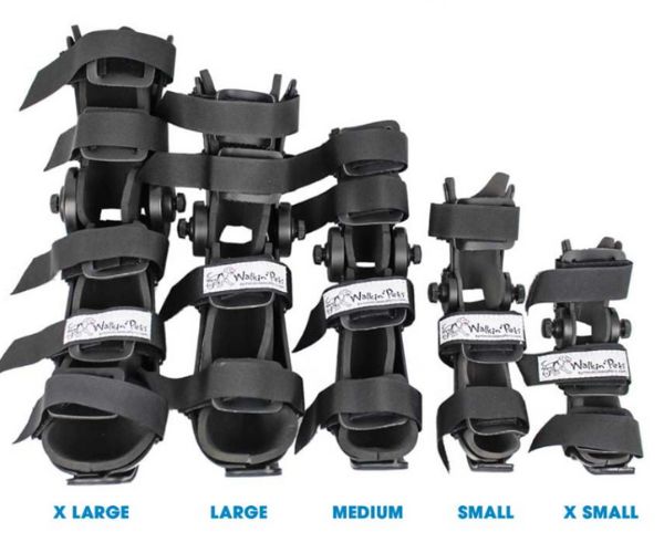 40% Off - Walkin' Full Adjustable Dog Splint - Front or Back Leg (firm)