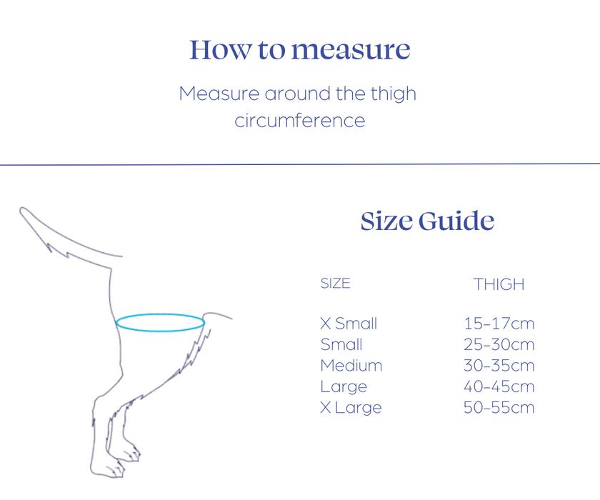 Balto® Life - Dog Hip Dysplasia Brace