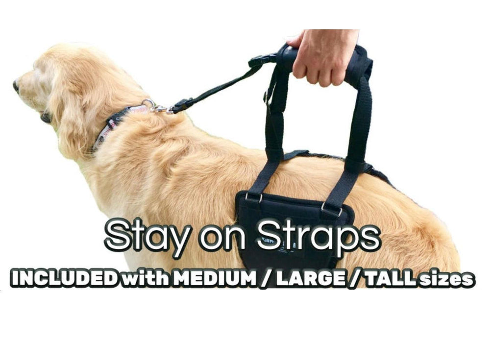 GingerLead Support Dog Sling - ZOOMADOG