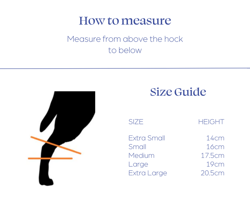 Kruuse Dog Hock Protector (light)