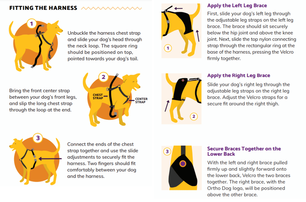 Orthodog Dog Hip Brace - ZOOMADOG