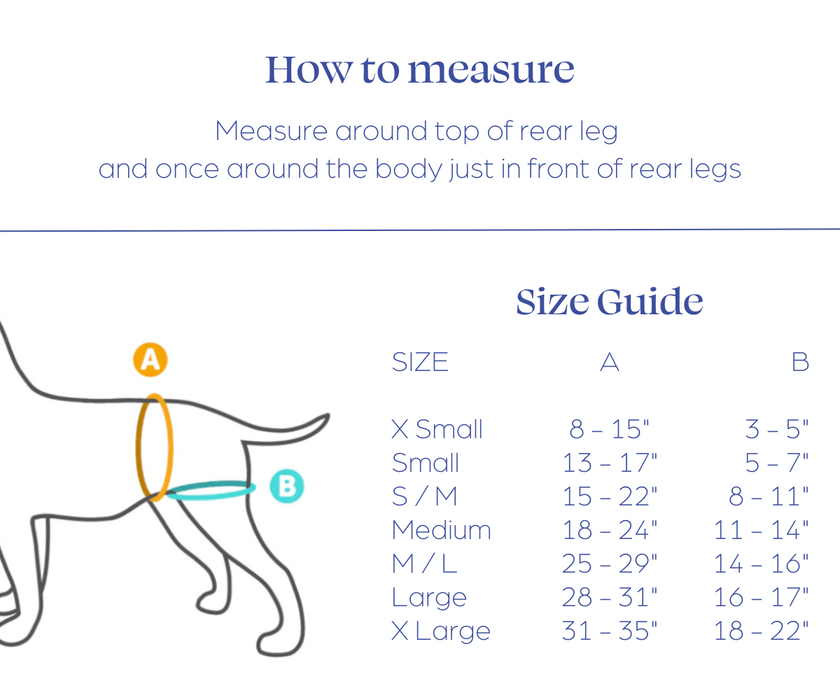 Walkabout Rear Amputee Dog Harness