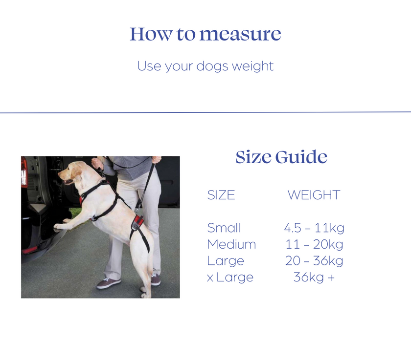 TUSH The Ultimate Support Harness for Dogs (comes with lead)