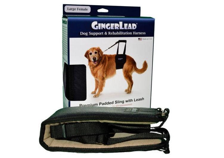 GingerLead Support Dog Sling - ZOOMADOG