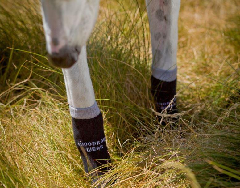Greyhound Non-Slip Dog Socks (Advanced) by Power Paws - ZOOMADOG