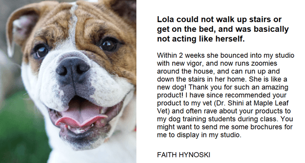 Winston's Joint System - 100% Natural Dog Joint Repair - ZOOMADOG