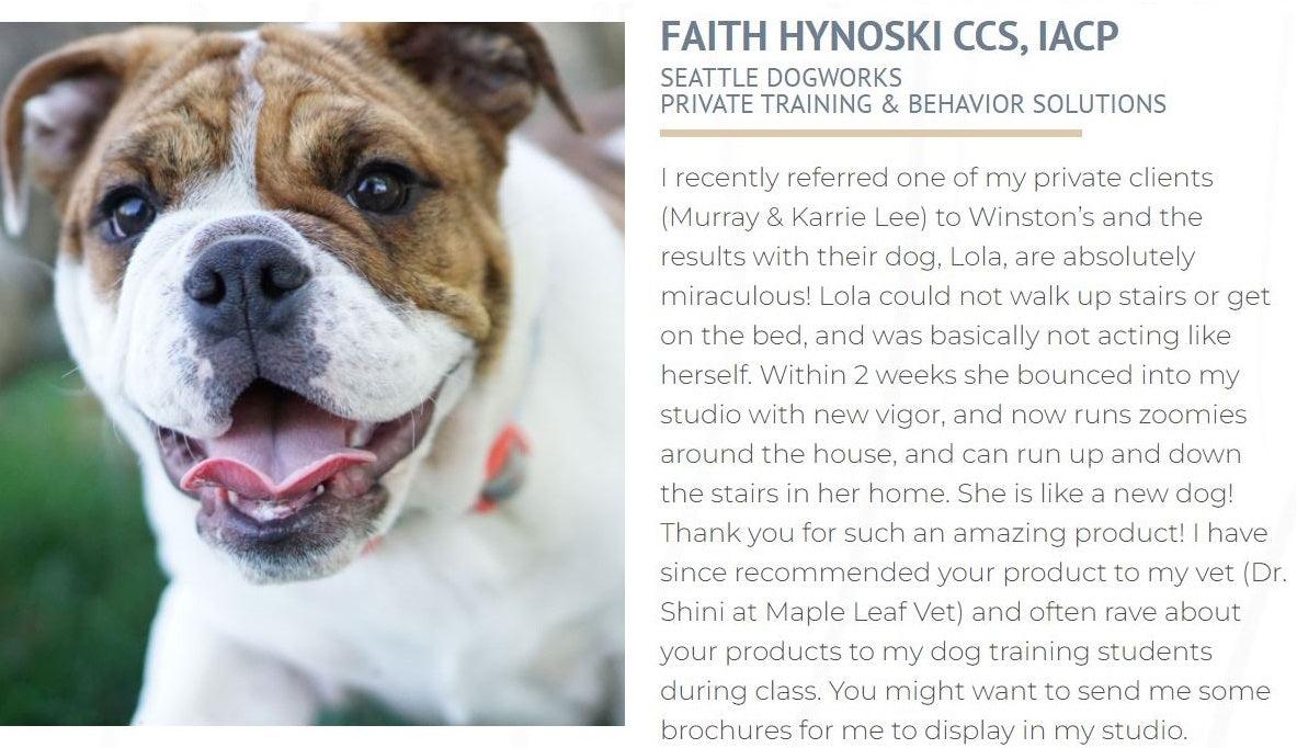 Winston's Pain Formula - 100% Natural Dog Supplement - ZOOMADOG